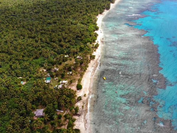 Budget Tonga vacation, swim with humpback whales