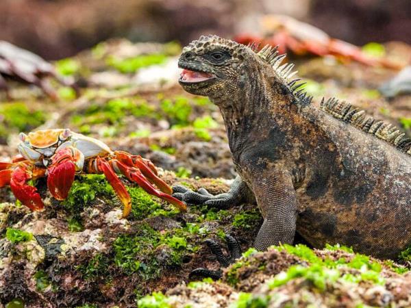 Ecuador, Galapagos and Colombia Adventure