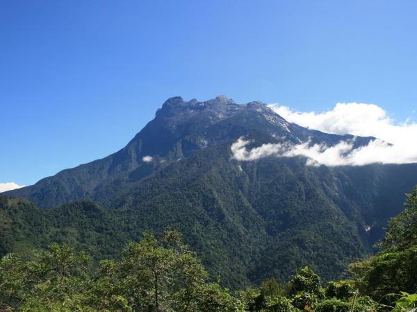 Wildlife adventure in Sabah, Borneo