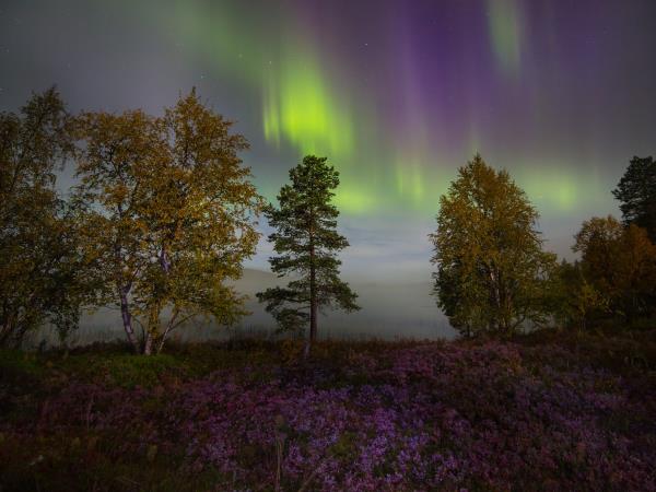 Autumn lights tailor made vacatio, Finland