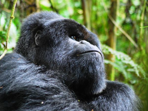 Nairobi To Dar Es Salaam overland tour