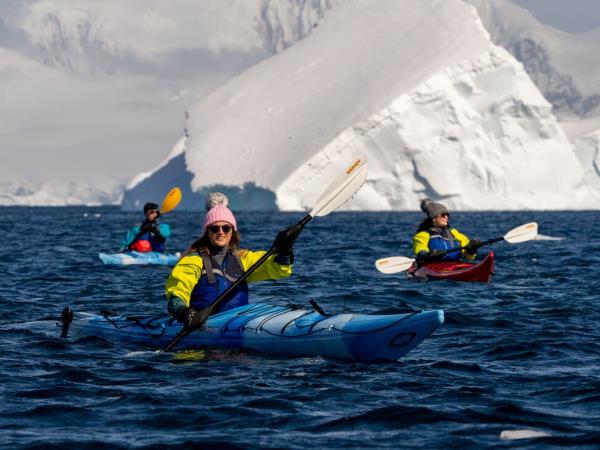 Whale watching and wildlife cruise in Antarctica
