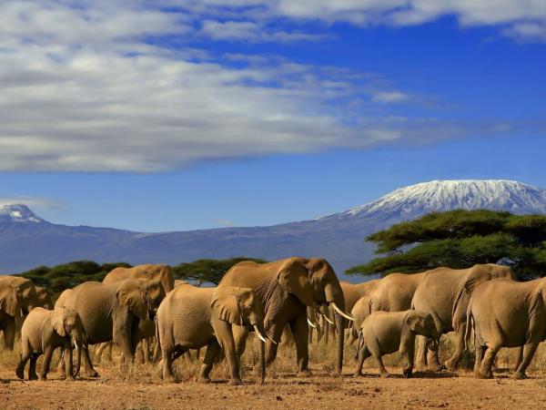 Kilimanjaro Rongai Route small group vacation