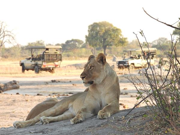 Zimbabwe and Botswana Wildlife Safari