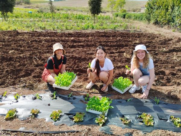 Sustainable farming vacation in Italy