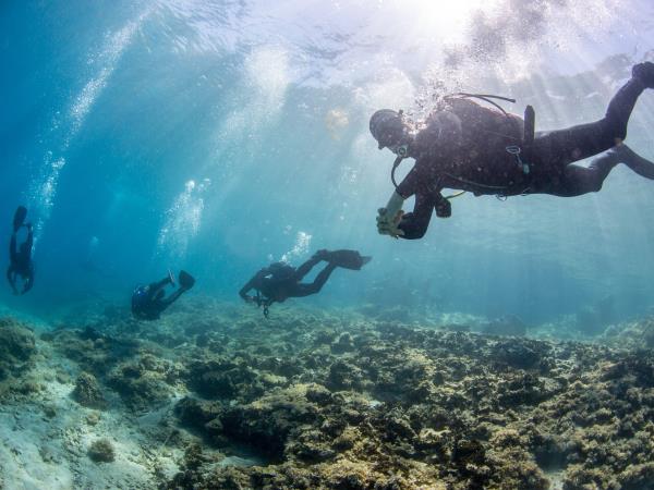 Marine conservation volunteering in Greece