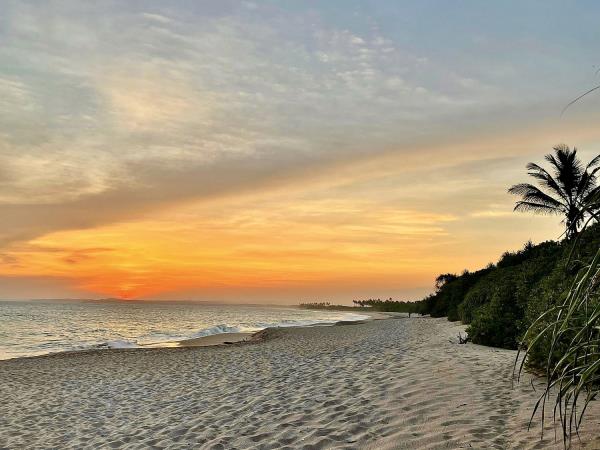 Beach vacation & tour in Sri Lanka