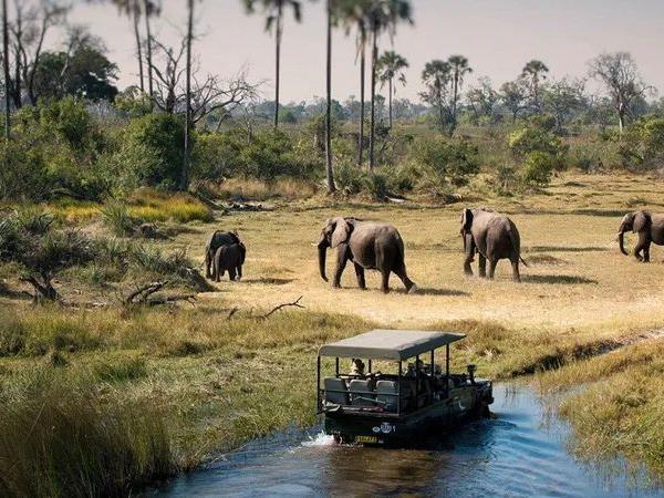 Botswana safari adventure for families