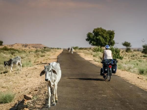 Rajasthan easy cycling vacation, India