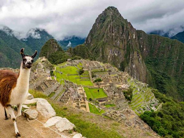 Machu Picchu and Galapagos vacation