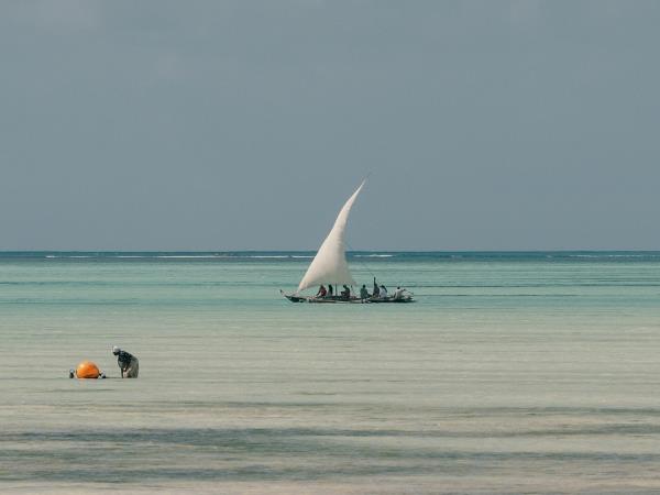 Zanzibar to the Seychelles sailing expedition