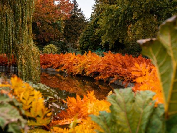 Autumn vacation in Scandinavia, Nordic colours