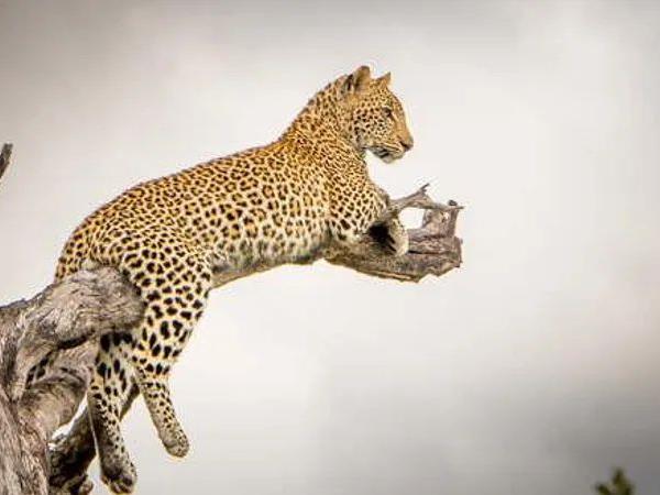 Cape Town, Kruger and Victoria Falls vacation, South Africa
