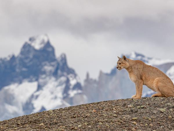 Chilean Patagonia vacation, tailor made