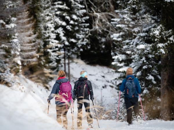 Winter activity and yoga vacation in Austria