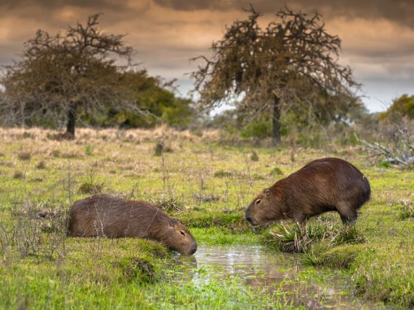 Northern Argentina slow travel vacation