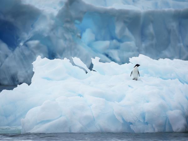 Luxury Chile & Antarctic cruise vacation