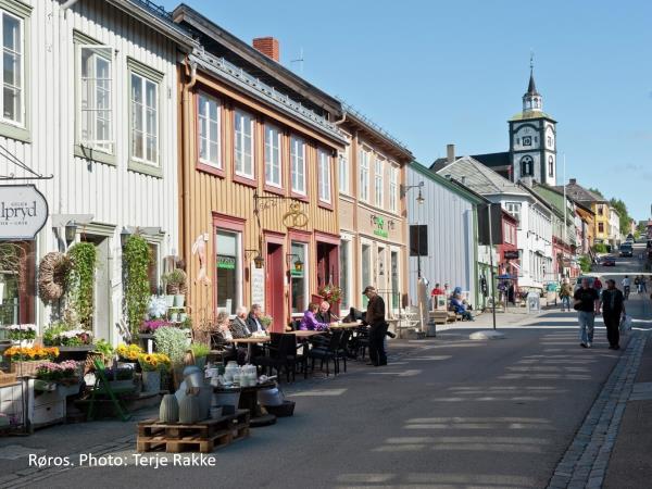 Central Norway cycling holiday, Røros to Trondheim