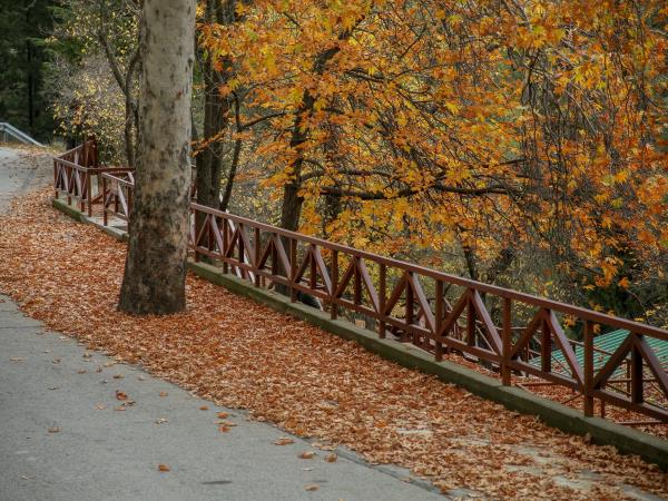 Cyprus food and foraging winter vacation