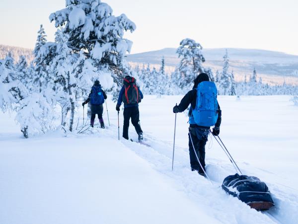 Winter ski touring in Sweden vacayion