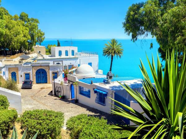 Tunisia summer small group tour