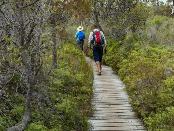 Tasmania coastal cruise
