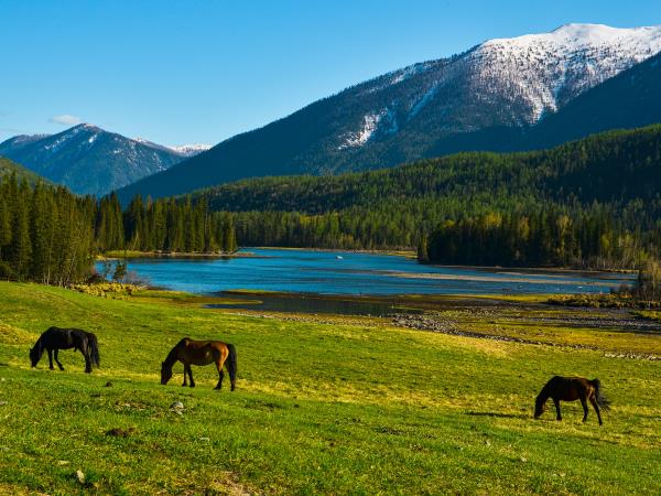 Northern Xinjiang 7 day tour in China
