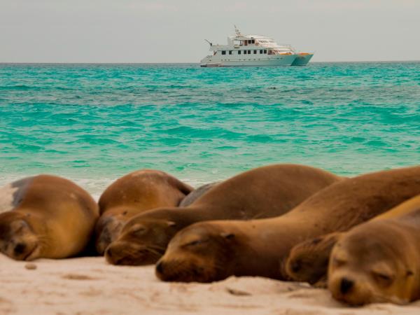 Galapagos luxury wildlife cruise