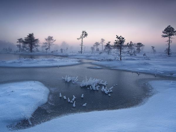 Christmas market vacation in Estonia