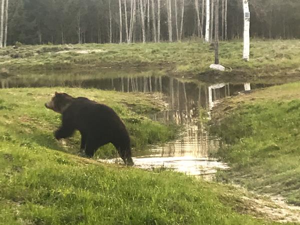 Estonia wildlife vacation, small group