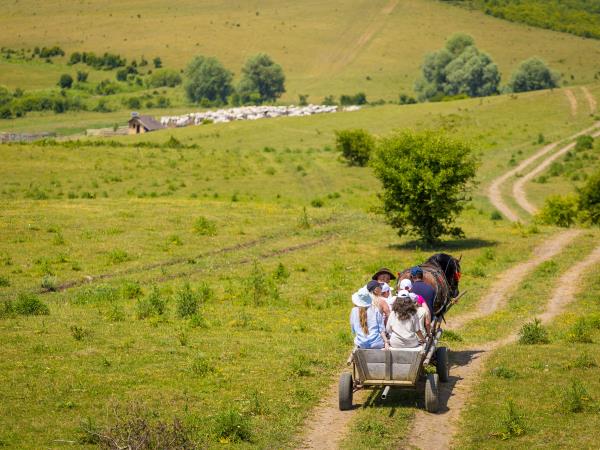 Transylvania farm and guesthouse