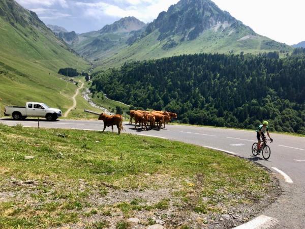 Tour de France cycling vacation
