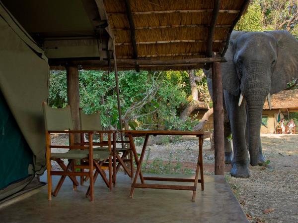 Malawi & Zambia vacation, safari & beach