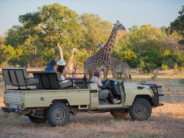 Mobile walking safari in Zambia
