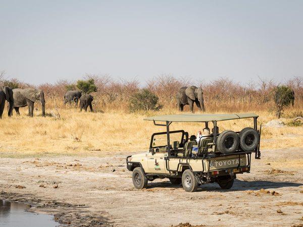 Botswana and Seychelles vacation, safari to beach