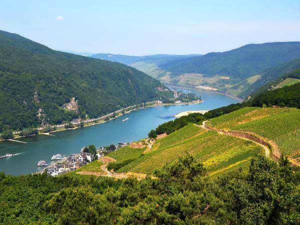 The Rhine hiking vacation in Germany