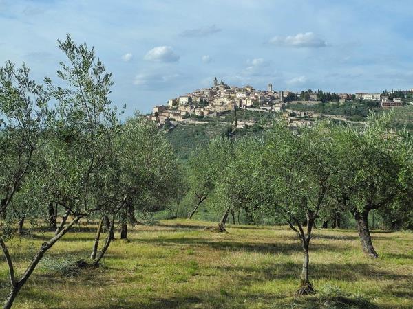 Umbria small group hiking vacation