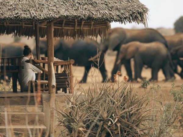Kenya safari and Diani beach vacation
