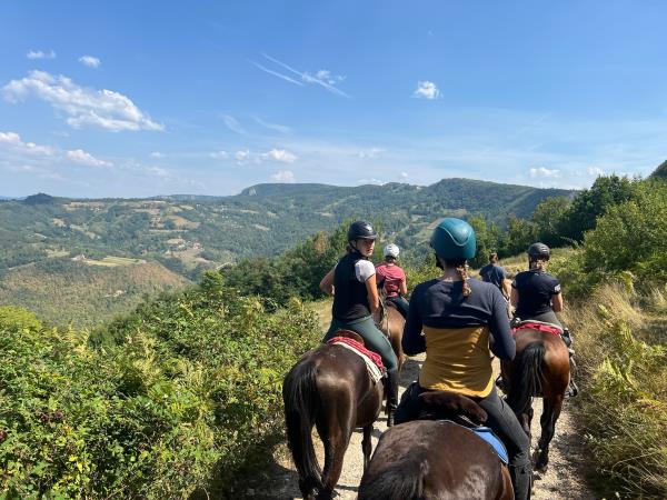 Horse riding holiday in Serbia