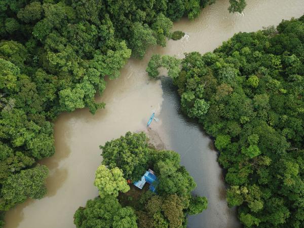 Wild Borneo vacation, private departure