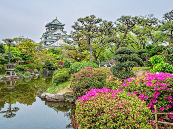Japan springtime cruise