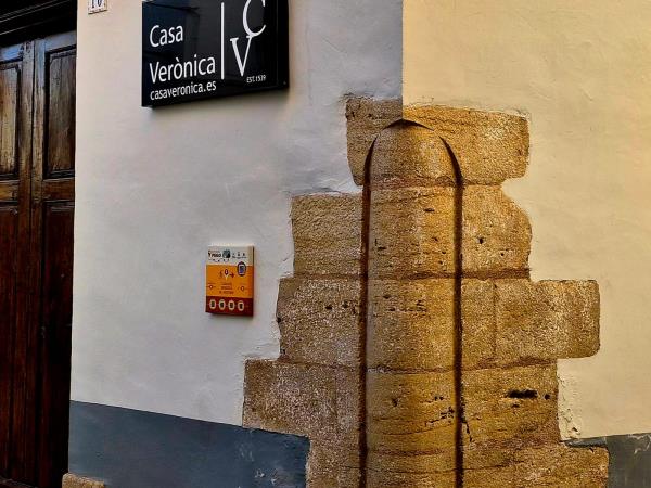 Vegan yoga course in Spain