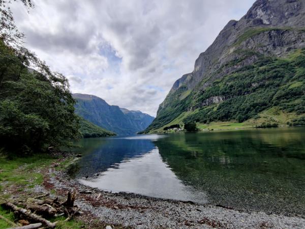 Norway by railway and boat vacation