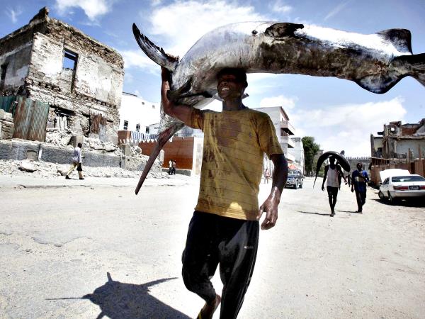 Mogadishu express cultural tour, Somalia