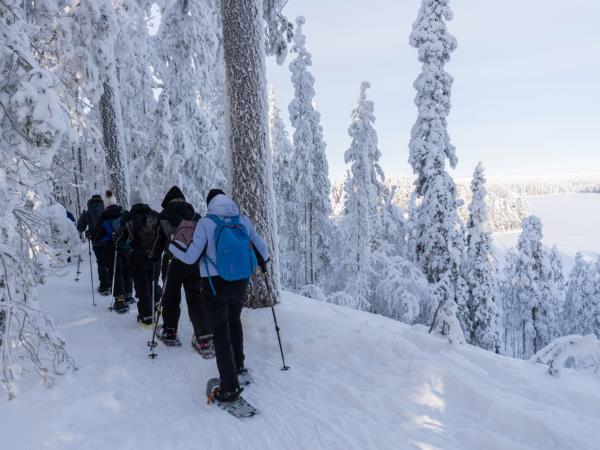 Snowshoeing vacation in Finland