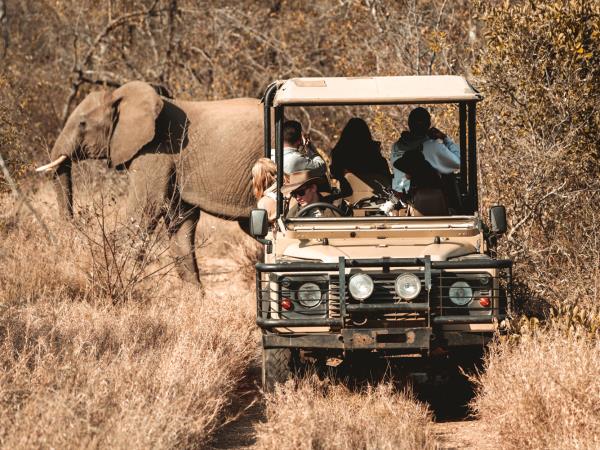 Wildlife monitoring vacation in South Africa