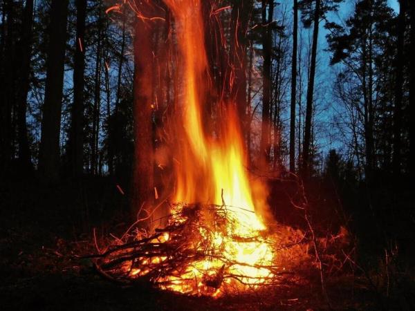 Estonia survival camp vacation