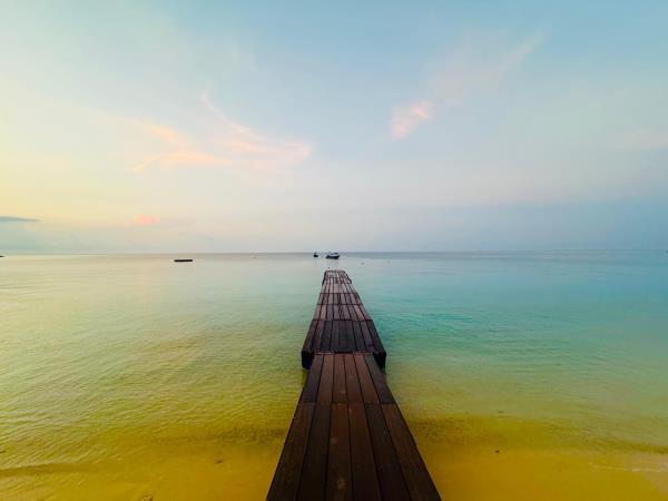 Malaysia vegan tour