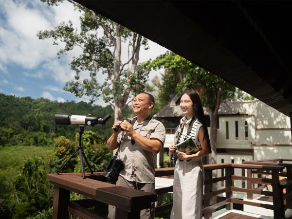 Borneo ultimate bird watching vacation