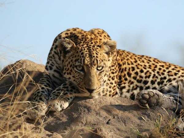 Kwa Zulu Natal self drive South Africa vacation